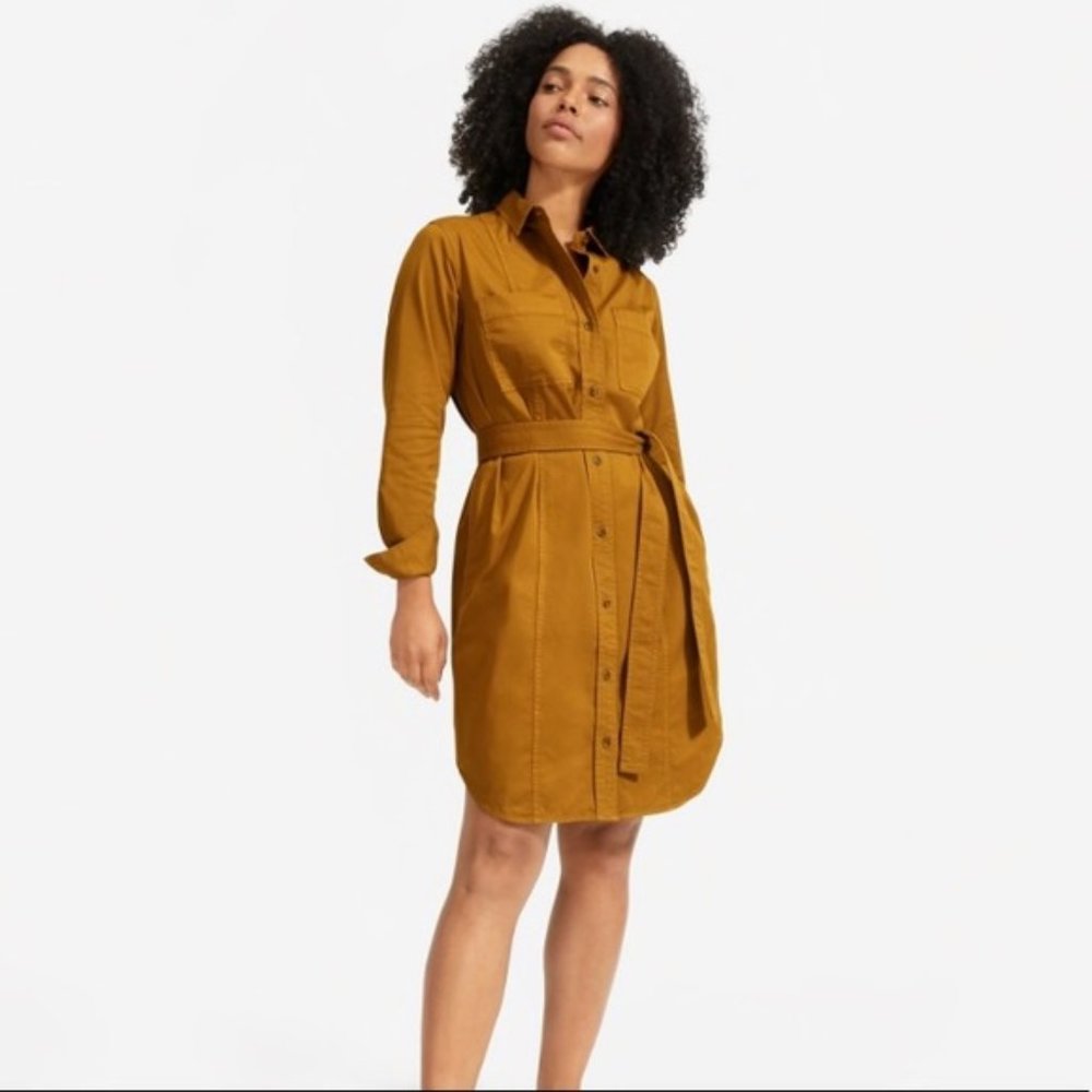 Everlane Modern Utility Dress (Brass)